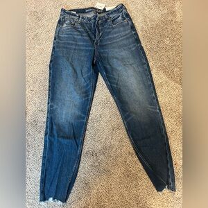 American Eagle jeans— BRAND NEW with tags.